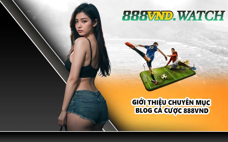 Giới thiệu chuyên mục Blog cá cược 888VND