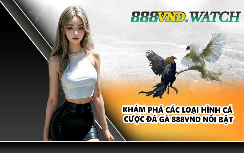 Khám phá các loại hình cá cược đá gà 888VND nổi bật