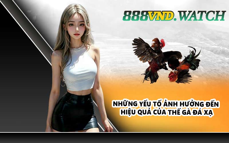 Những yếu tố ảnh hưởng đến hiệu quả của thế gà đá xạ
